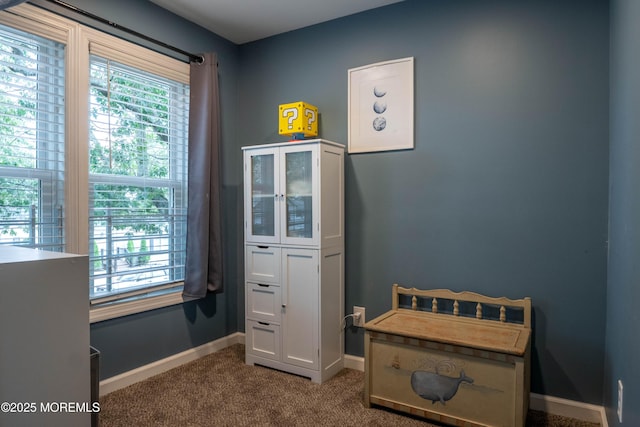 22 Homestead Dr, Brick, NJ 08724 - photo 22