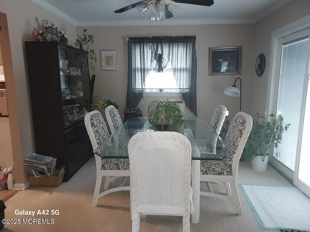 20 Guadeloupe Dr, Toms River, NJ 08757 - photo 3
