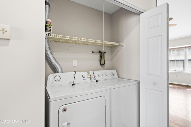 1 Westchester Dr, Little Egg Harbor, NJ 08087 - photo 11