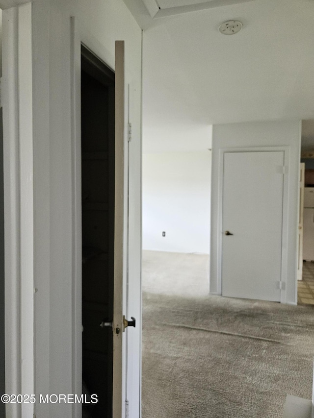72 Haven Dr Unit 500, Matawan, NJ 07747 - photo 9