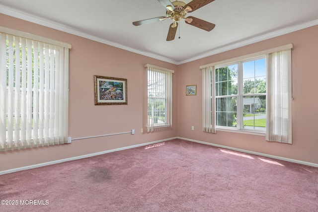 47 Golden Willows Ave, Lakewood, NJ 08701 - photo 22