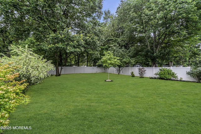 31 Jordan Rd, Colonia, NJ 07067 - photo 46