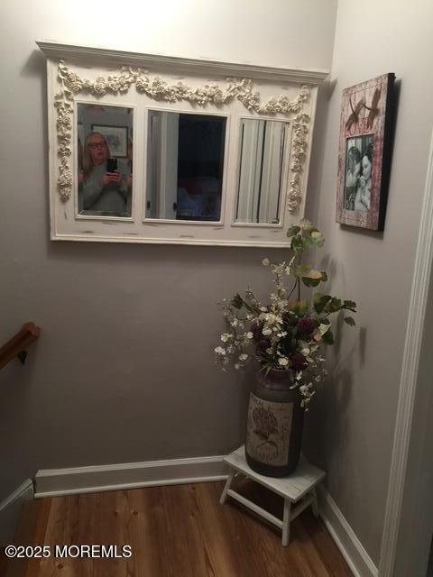 308 Tradewinds Ave, Toms River, NJ 08753 - photo 32
