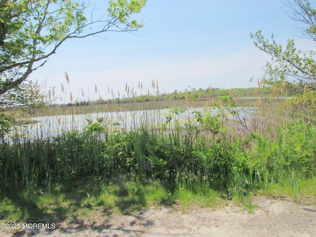 1131 Bayview Ave, Bayville, NJ 08721 - photo 8