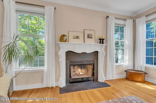 388 Brookdale Ave, Long Branch, NJ 07740 - photo 8