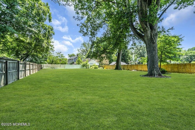 77 Woodland Ave, Ewing, NJ 08638 - photo 38