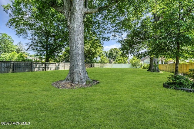 77 Woodland Ave, Ewing, NJ 08638 - photo 40