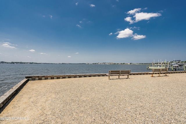 14 Holly Acres Dr, Brick, NJ 08723 - photo 37