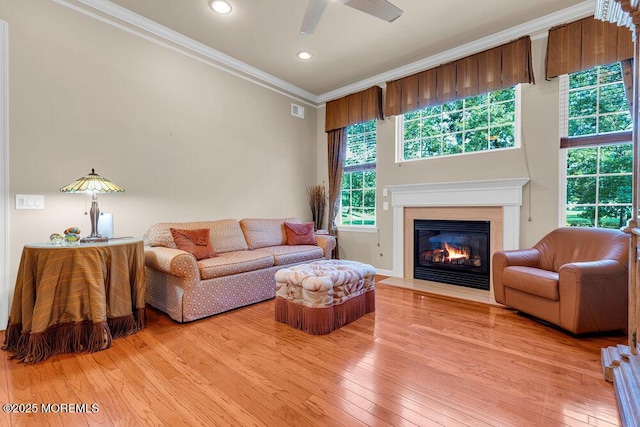 7 Shoal Rd, Jackson, NJ 08527 - photo 29
