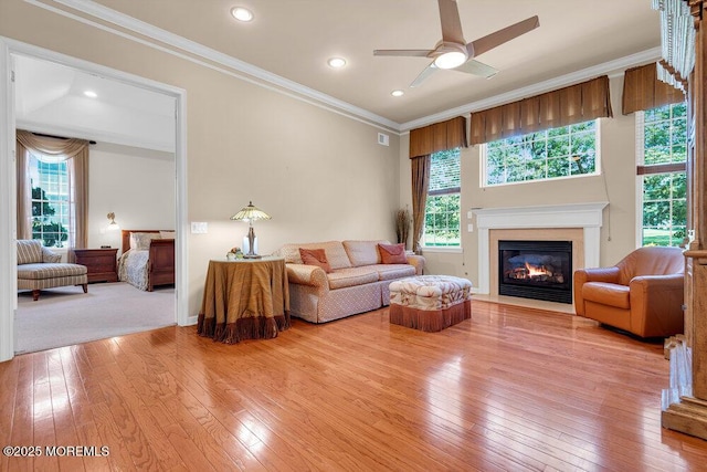 7 Shoal Rd, Jackson, NJ 08527 - photo 25