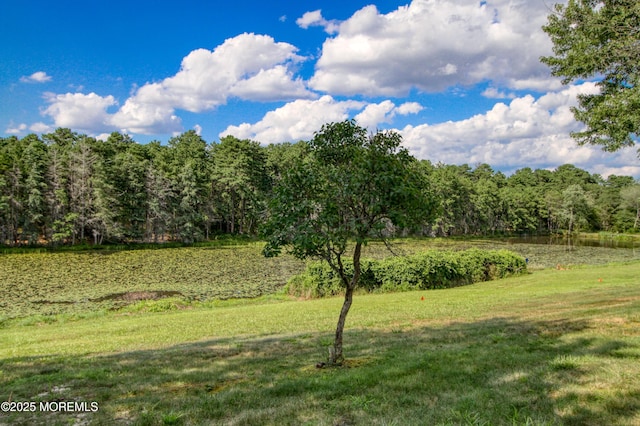 415 Highland Dr Unit A, Whiting, NJ 08759 - photo 16