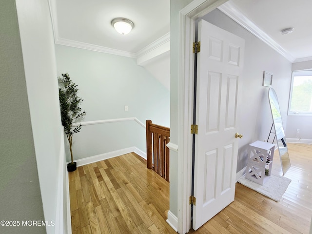 162 Impatiens Ct Unit 1602, Toms River, NJ 08753 - photo 31