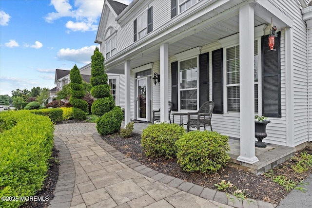 221 Seton Hall Dr, Freehold, NJ 07728 - photo 32