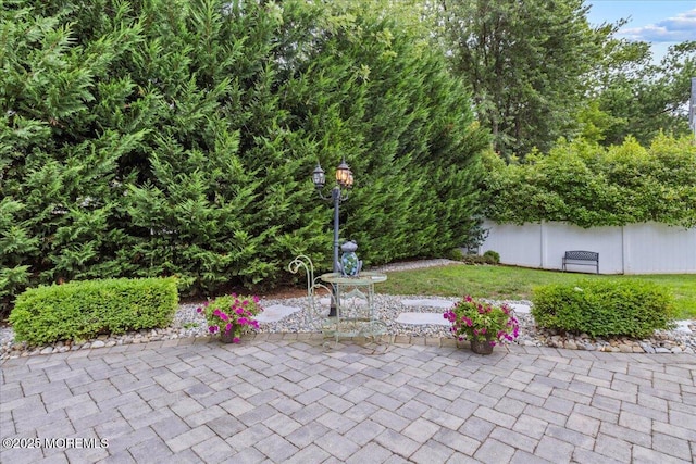 221 Seton Hall Dr, Freehold, NJ 07728 - photo 38