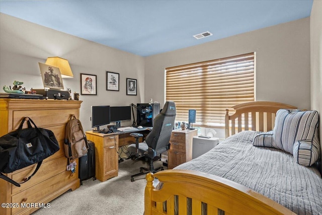 221 Seton Hall Dr, Freehold, NJ 07728 - photo 56