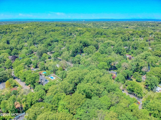 58 Fish Hawk Dr, Middletown, NJ 07748 - photo 77