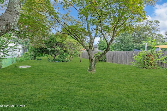17 Henry St, Freehold, NJ 07728 - photo 24