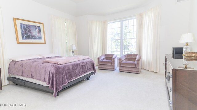 448 Edinburgh Pl, Marlboro, NJ 07746 - photo 17