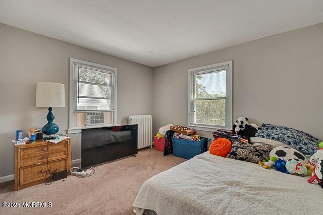 21 Washington St, Red Bank, NJ 07701 - photo 21