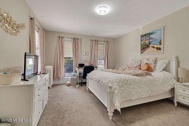 21 Washington St, Red Bank, NJ 07701 - photo 7