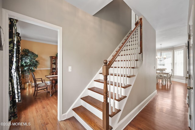 404 S St, Brielle, NJ 08730 - photo 6