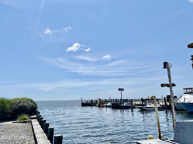 30 Nautilus Rd, Waretown, NJ 08758 - photo 36