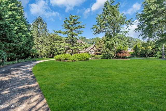 2531 River Rd, Wall, NJ 08736 - photo 67