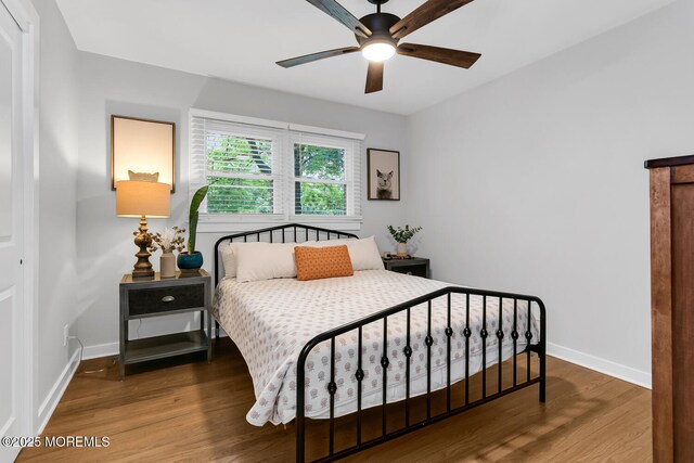 45 Parkway Pl, Red Bank, NJ 07701 - photo 21