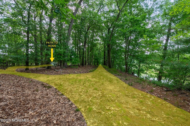 45 Parkway Pl, Red Bank, NJ 07701 - photo 40