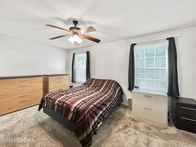 77 Poplar Pl, Freehold, NJ 07728 - photo 16