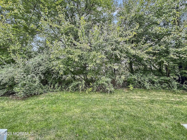 77 Poplar Pl, Freehold, NJ 07728 - photo 22