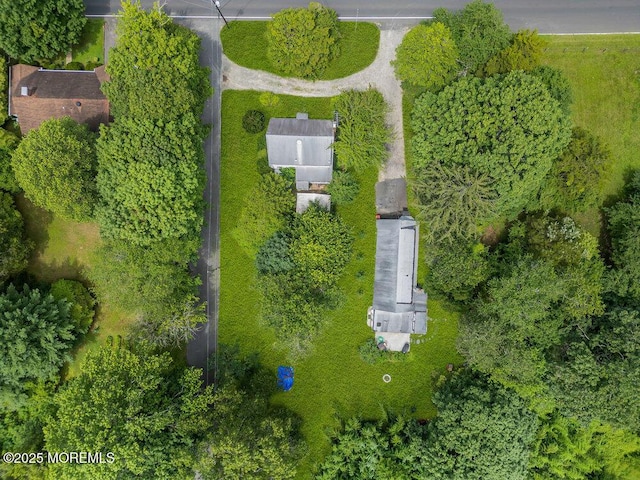 3005 Atlantic Ave, Allenwood, NJ 08720 - photo 3