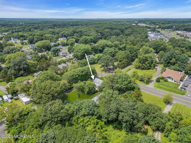 3005 Atlantic Ave, Allenwood, NJ 08720 - photo 6