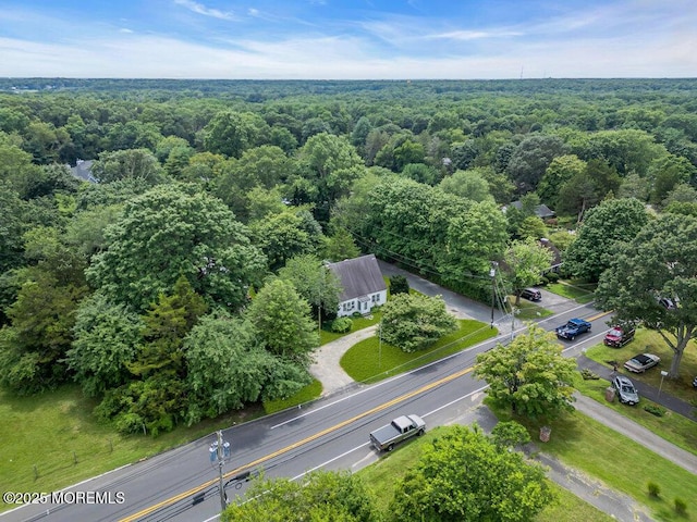 3005 Atlantic Ave, Allenwood, NJ 08720 - photo 21