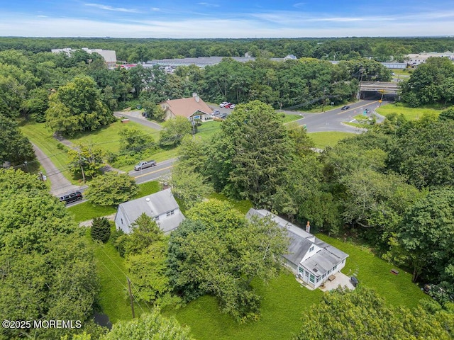 3005 Atlantic Ave, Allenwood, NJ 08720 - photo 24