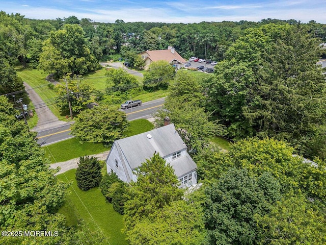3005 Atlantic Ave, Allenwood, NJ 08720 - photo 29