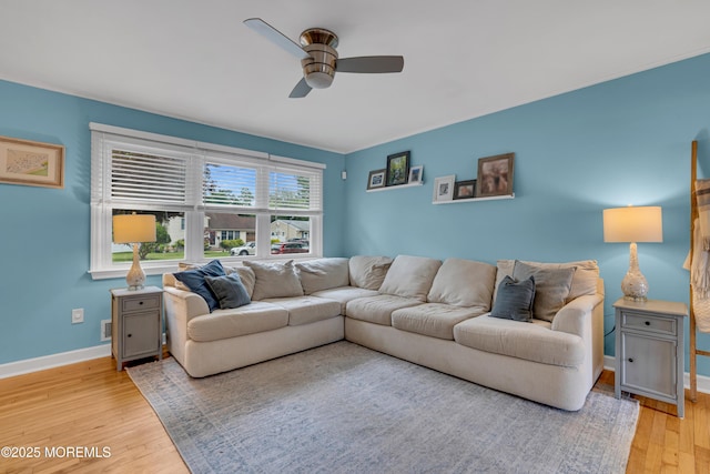 1139 Roe Ave, Point Pleasant, NJ 08742 - photo 6