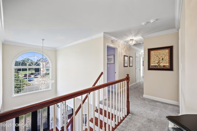 20 Courtney Ct, Freehold, NJ 07728 - photo 29
