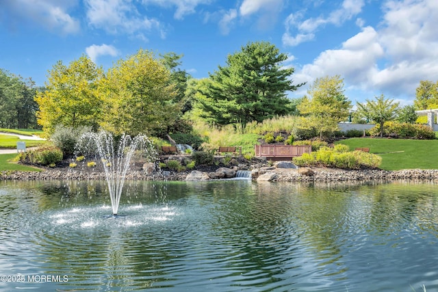 3 Heathersway Ct, Lakewood, NJ 08701 - photo 48