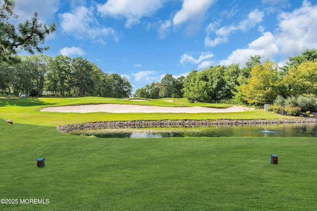 3 Heathersway Ct, Lakewood, NJ 08701 - photo 49