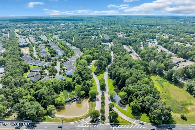 3 Heathersway Ct, Lakewood, NJ 08701 - photo 46