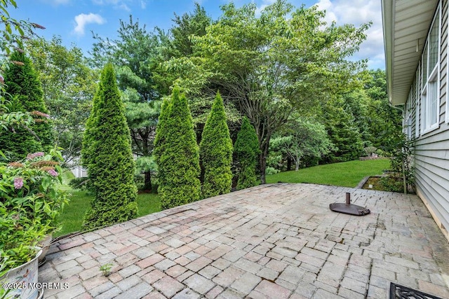27 Valley Stream Pl, Barnegat, NJ 08005 - photo 30
