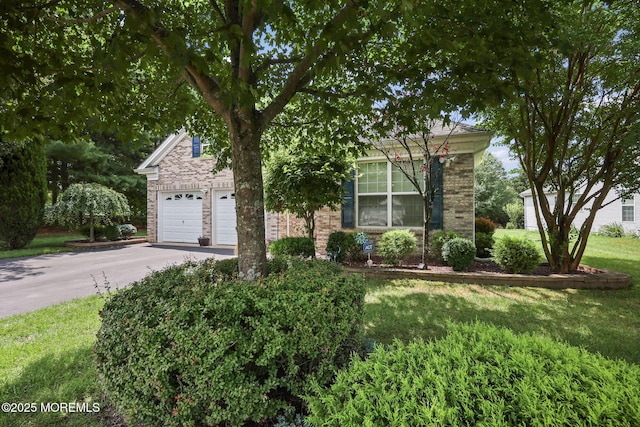 15 Nottingham Way, Jackson, NJ 08527 - photo 5