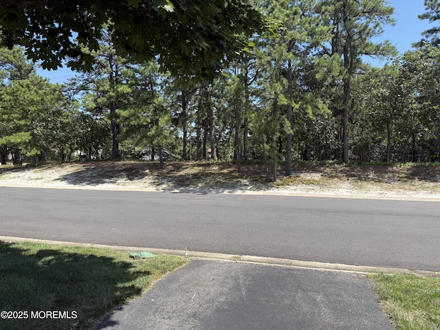 3 Norwich Dr Unit A, Whiting, NJ 08759 - photo 4