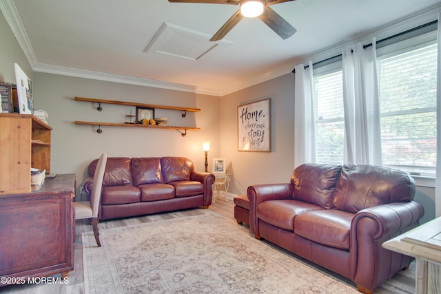 612 Greenwich Ct, Toms River, NJ 08753 - photo 34
