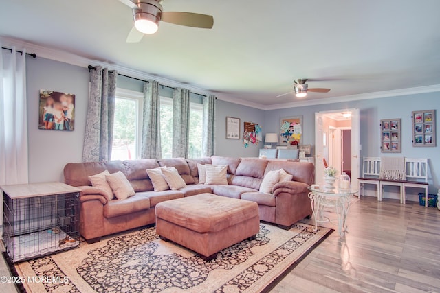 612 Greenwich Ct, Toms River, NJ 08753 - photo 15