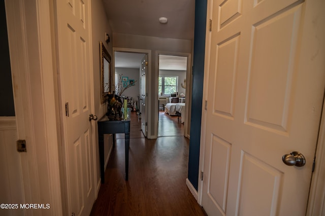 807 Eves Dr Unit 3P, Hillsborough, NJ 08844 - photo 8