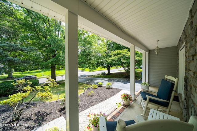 29 Chatham Ridge Dr, Freehold, NJ 07728 - photo 41