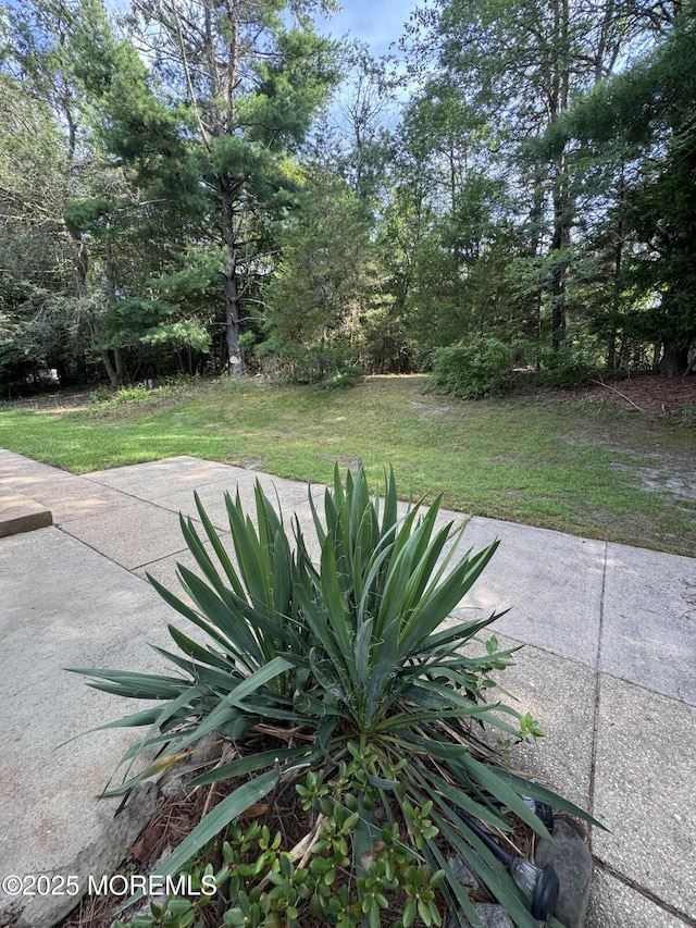380C Fairway Ln, Whiting, NJ 08759 - photo 19