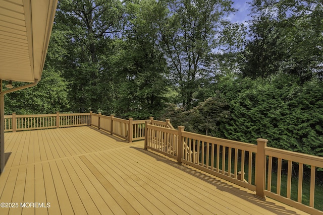 619 Maze Rd, River Vale, NJ 07675 - photo 11